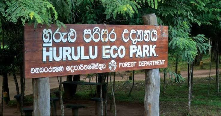 Habarana Hurulu Eco Park safari elephants Sri Lanka